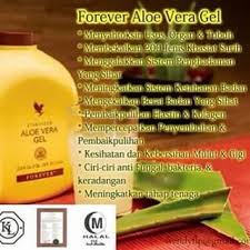 Forever living grows and harvests high quality aloe vera plants to create the best aloe products on the market. Forever Living Aloe Vera Gel Khasiat Nya Google Search Forever Living Products Forever Living Aloe Vera Aloe Vera Gel