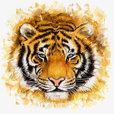 880 x 920 jpeg 369 кб. Tiger Tiger Clipart Steller Png And Vector With Transparent Background For Free Download Tiger Face Metal Art Prints Face Art