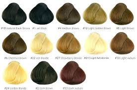 Hair Colour Chart Wheel Lovely Blackcherry Hair Color In