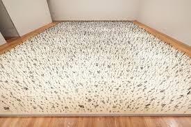 Life and Death Converge in a Two-Sided Field of 17,000 Steel Flowers by  Zadok Ben-David — Colossal