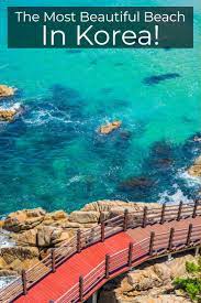 Why You Need To Visit Surfyy Beach Most Beautiful Beaches South Korea Travel Seoul Korea Travel
