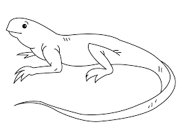This adorable coloring book comes with 18 different. Iguana Coloring Pages Printable