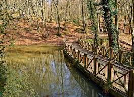 Belgrade is a place to visit when crossing the forests. Run Derful City Find The Bestrunning Routes In Istanbul Daily Sabah