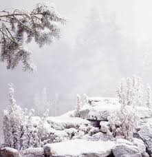 Maybe you would like to learn more about one of these? Snowy Background Photo Wp20528
