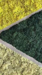 D&a carpet cleaning carpet cleaning durham nc ttd cleaning services llc — blackdollarnc cleaning services — north carolina black owned businesses the oak park border pc 07c arts & crafts carpet. Gotriangle Moss Art In Durham Nc Thesavageway