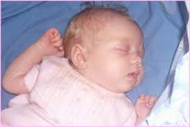 Diana Elizabeth Daigle (2008-2008)