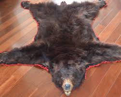 Black bear rug with head adds luxurious warmth and elegance to any room. Bear Skin Blanket Real Off 51