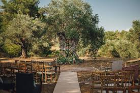 Enchanting Olive Grove Wedding Jasmine David Chic Stylish Weddings Dreamy Wedding Outdoor Wedding Venues Wedding