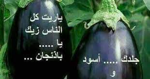 pin by nahla abdelwahaab on كلمات وتعليقات mamamoo moonbyul sarcastic humor funny pictures