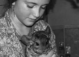 Bringing Nature, Animals & the Arts to People Venus and Mars: NC Volunteer  Inspires Children with “Wild” Chinchillas Le
