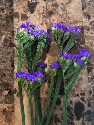 Maybe you would like to learn more about one of these? Hello There I Bought This Flower As A Bouquet From The Grocery Store Cause I Liked The Vibrant Purple Flowers The Flowers Have A Paper Texture And The Plant Itself Seem Related