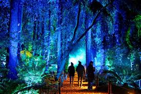 Maybe you would like to learn more about one of these? Sold Out Enchanted Forest Of Light Descanso Gardens Guild
