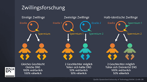 Das ist wirklich unterschiedlich, bei mir sah man das schon bei 5+4, war aber auch mein erster ultraschall, da waren denn ganz deutlich zwei fruchthüllen und ihre anlagen schon zu erkennen. Weder Eineiig Noch Zweieiig Halb Identische Zwillinge Entdeckt Br24