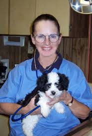 They are given an official florida health certificate with shot record from our veterinarian. Home Page Canyon Hills Havanese Canyon Hills Havanese