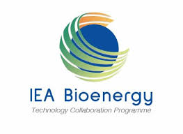 Though there are so many brands offering the detectors, only the best carbon monoxide detector will be able to give you. Https Www Ieabioenergy Com Wp Content Uploads 2020 09 Trends And Drivers In Alternative Thermal Conversion Of Waste Pdf