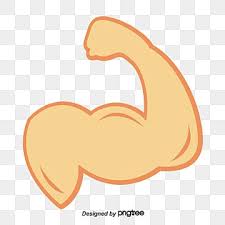 ذراع قوية clipart العضلات أيقونة كرتون بالارض png وملف psd للتحميل مجانا arms behance coding