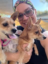 🌟 Spotlight Saturday: The Doodle Edition! 🌟 Today we're featuring the  lovable and oh-so-popular doodles! From Goldendoodles to Labradoodles and  everything in between, these fluffy companions are adored for their playful  personalities