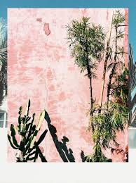 Destination West Coast Plants Plant Life Plants Are Friends