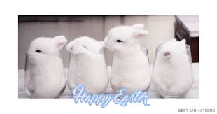 Happy easter gif happy easter messages happy easter wishes easter memes jesus happy easter quotes jesus christ easter religious pictures easter pictures quotes gif happy #easter everyone! 40 Great Happy Easter Gif