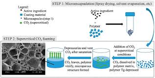 Estimated between 1899 and 1959. Microencapsulation And Nanoencapsulation Using Supercritical Fluid Scf Techniques Abstract Europe Pmc