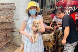 Photo of a pretty lady slaughtering a goat, goes viral and scares men. Yulin Dog Meat Festival To Begin This Weekend Defying Chinese Declaration That Dogs Are Pets Not Food A Humane World