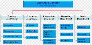 The term organizational structure refers to how the people in an organization are grouped and to whom they report. Organizational Structure Organizational Chart Training And Development Management Foreign Cat Text Computer Program Number Png Pngwing