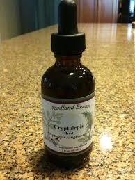 Image result for Cryptolepis hypoglauca