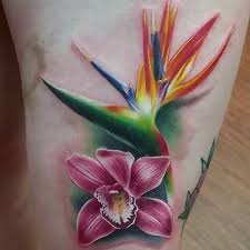 Bird Of Paradise Flower Tattoo Meaning 10 Beautiful Bird Of Paradise Flower Tattoos Staciemayer Com Paradise Tattoo Bird Of Paradise Tattoo Tropical Flower Tattoos
