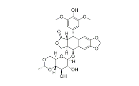 Image result for Etoposide