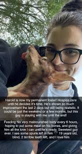 I posted this this morning