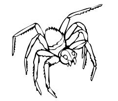 Black widow spider coloring pages