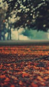 Wallpapers are a highly personal choice for customizing the look of your home screen, but in many cases, images used as wallpapers can make the home screen look too busy with all the app icons. Home Screen Wallpapers Hd Wallpapers Desktop Background