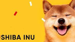 Shiba Inu New Cryptocurrency Gained 60 After Elon Musk Tweet