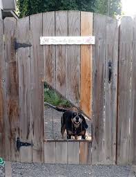 25 Best Cheap Backyard Fencing Ideas For Dogs 6 Backyard Fences Dog Backyard Dog Fence