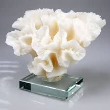 #polyvore #home #home decor #coral home accessories #coral home decor #alabaster sculpture #ivory sculpture #coastal home decor. Shop For White Coral Flower Statue On Transparent Glass Base Home Decor Stylish Decorative Accent At Wholesale Price On Crov Com