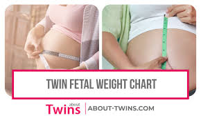 Twin Fetal Weight Chart Estimated Growth Week By Week