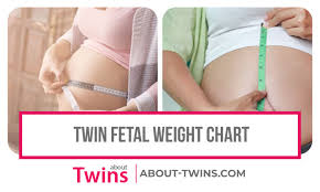 twin fetal weight chart estimated growth week by week