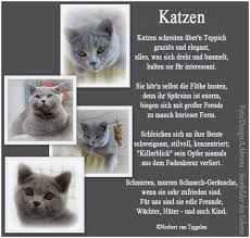 Wenn Sie Auf Dieses Gedicht Klicken Besuchen Sie Das Buch Wortschatze Von Norbert Van Tiggelen Indem Weitere Ahnliche Gedichte Zu Worter Katzen Tierspruche