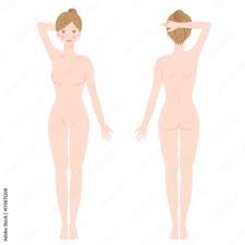 女性裸全身Stock Vector | Adobe Stock