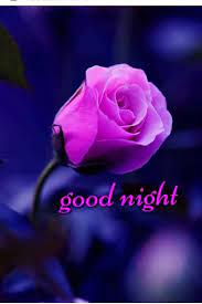 There are many romantic good night flower images which can be sent for this purpose. Pin By Sherril Folk On à¤¶ à¤­ à¤° à¤¤ à¤° Mp Good Night Flowers Good Night Beautiful Beautiful Good Night Images
