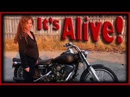 Image result for Dark Victory Red 1994 FXDS Conv