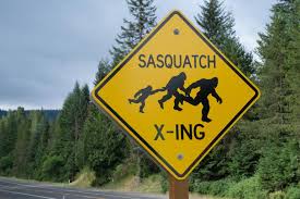 Bigfoot captured in wild viral video by terrified hiker: 'Scariest moment  of my life'