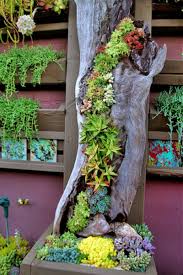 Succulent Planter At The Succulent Cafe Vertical Hollow Log Succulent Planter Uppiger Garten Garten Gartenkunst