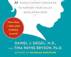 Image of WholeBrain Child book