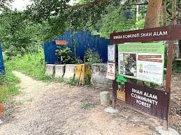 The trails were not established by hikers. Coalition Objects To Draft Plan The Star