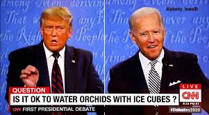 Discuss 2020 Presidential Debate Parody Questions Know Your Meme