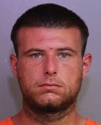3 charges including Viol of Probation/Community Control-  https://polkbusted.com/pinellas-county-arrests/bailey-browning/
