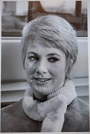 THE PARTRIDGE FAMILY...GET ON THE BUS