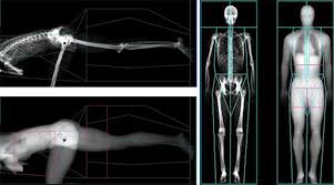 Rethinking Body Composition In Sport Moving Beyond Totals Simplifaster