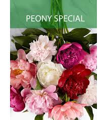 Jacksonville florist & gift basket shop. Peony Special Jacksonville Fl Florist